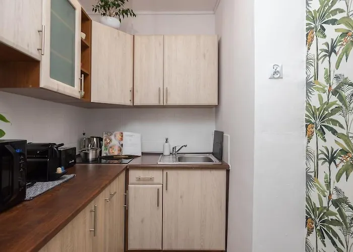 Specious City Center Studio With Park View