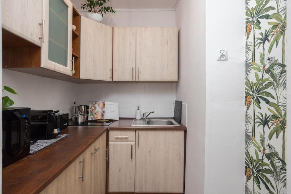 Specious Center With Park View *